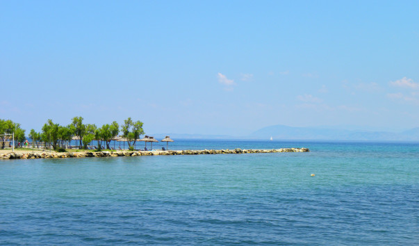 DSCN8424