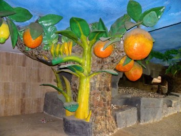photo 1400940