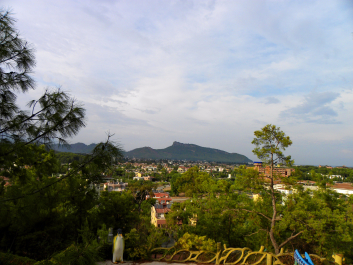 photo 1406431