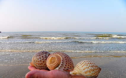 photo 1468254