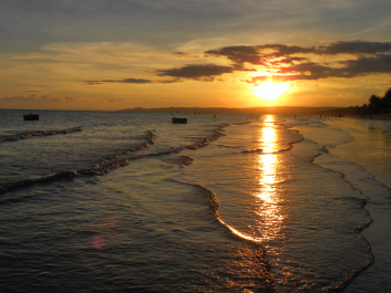 photo 1473257