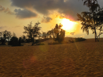 photo 1542363
