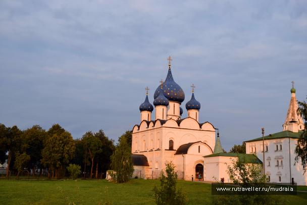 photo 1561614