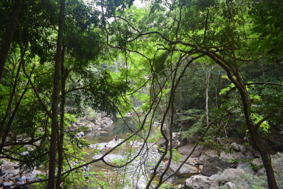 photo 1623337