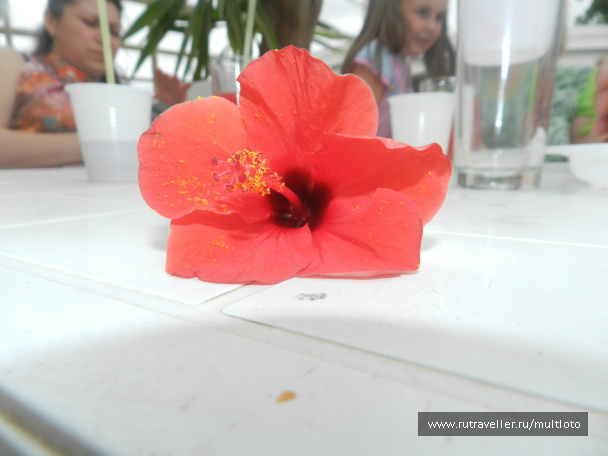 photo 155302