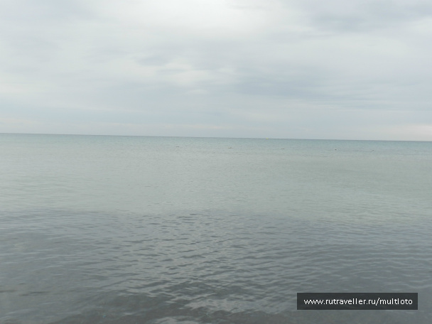 photo 155315