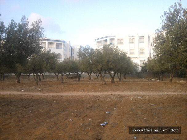 photo 34290
