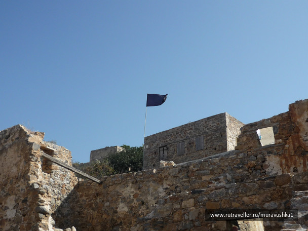 photo 473823