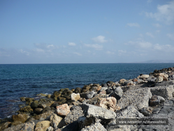photo 473893