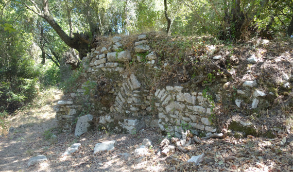 DSC08695