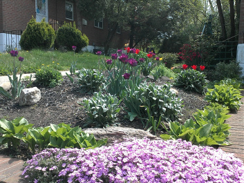 photo 79390