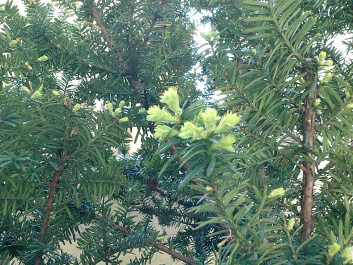 photo 79391