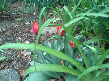 photo 79401