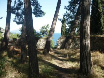 photo 445249
