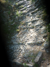 photo 445250