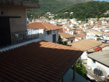 photo 445257