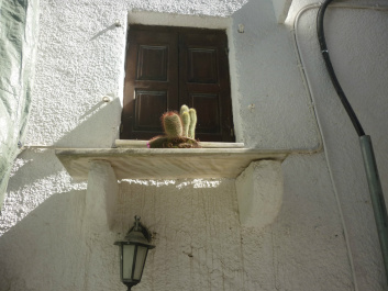 photo 445259
