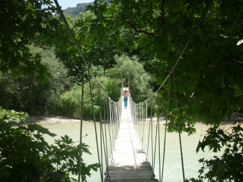photo 445274