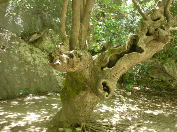 photo 445282