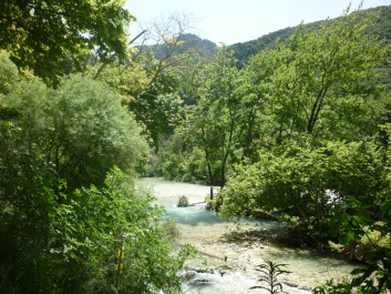 photo 445290
