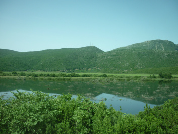 photo 445296