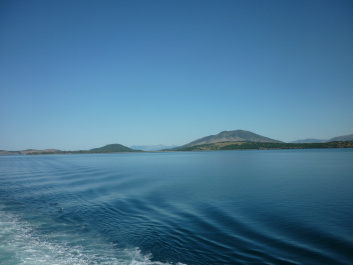 photo 445298