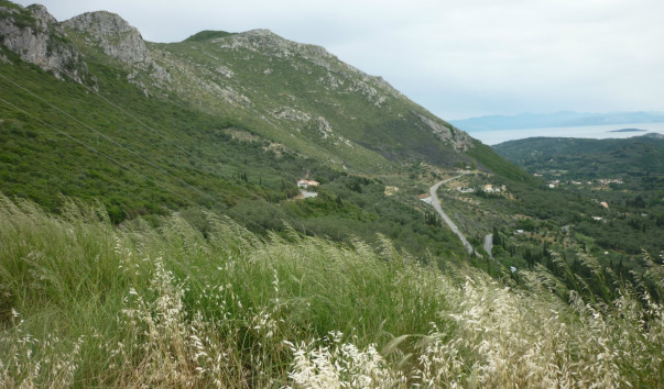 P1080090