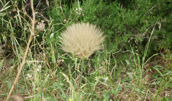 P1080081