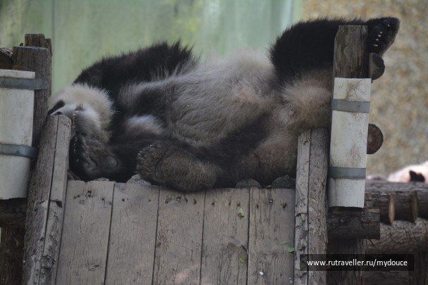 photo 1520310