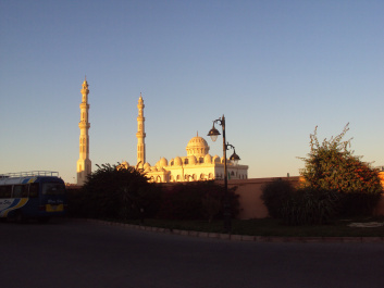 photo 246223