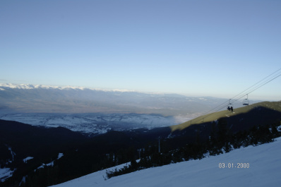 photo 247244