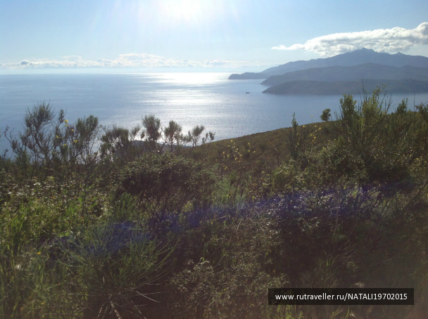photo 1007813