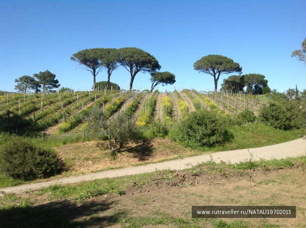 photo 1007815