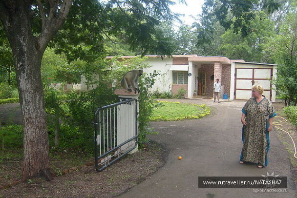 photo 209220