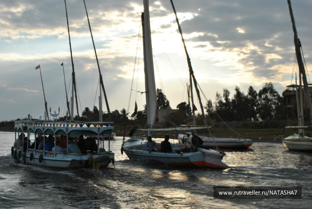 photo 210729