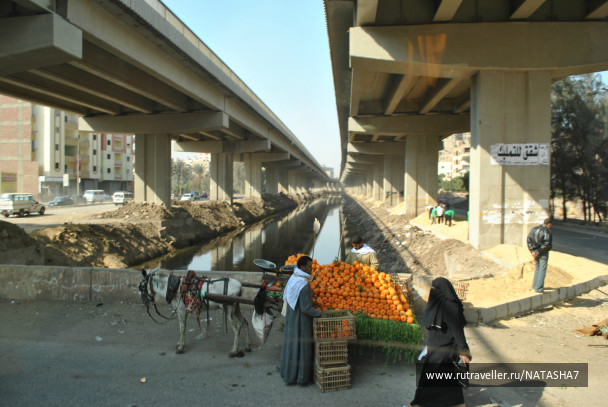 photo 210740