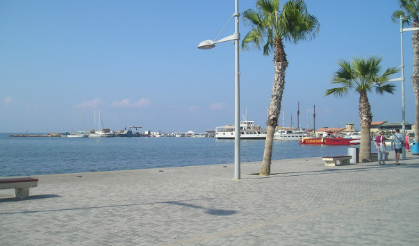 P1010082