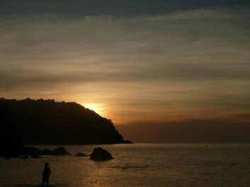 photo 452981