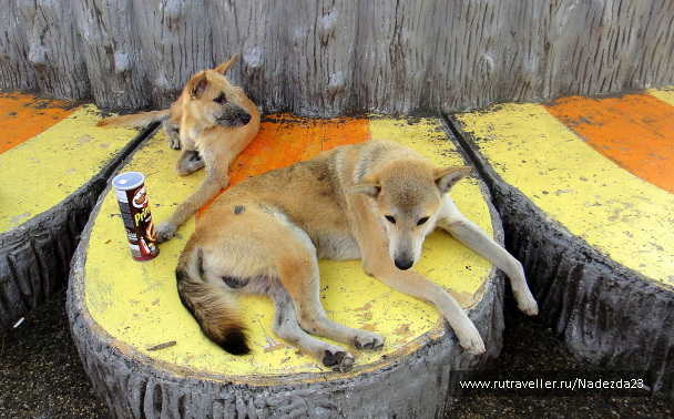 photo 587628