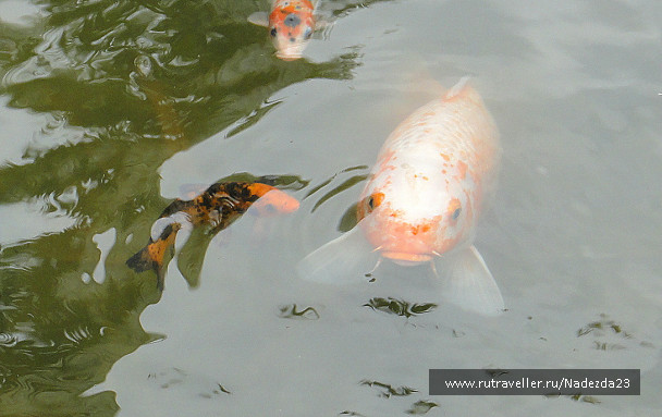 photo 624963