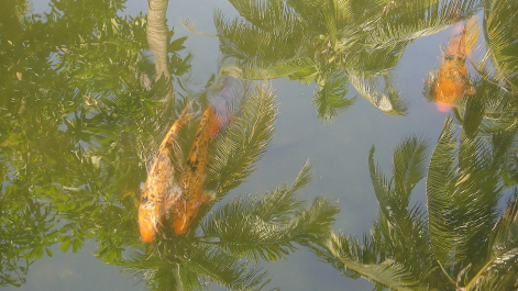 photo 624966