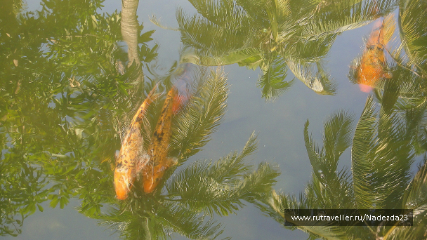 photo 624966