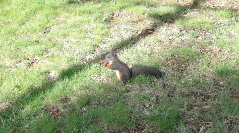 photo 830945