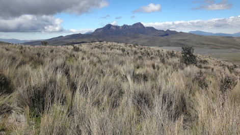 photo 930873