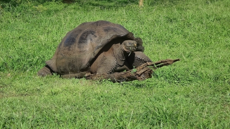 photo 932914