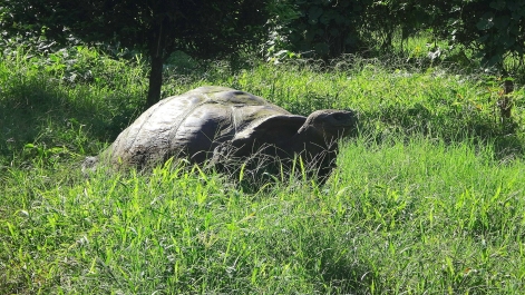 photo 932916