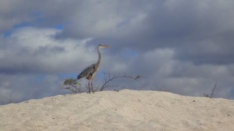 photo 946532