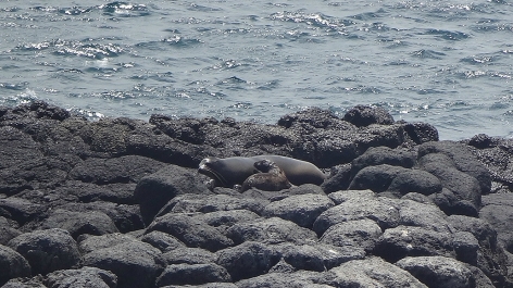 photo 946535
