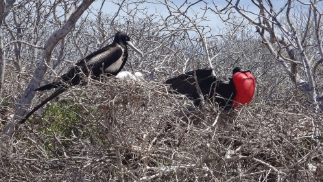 photo 946545