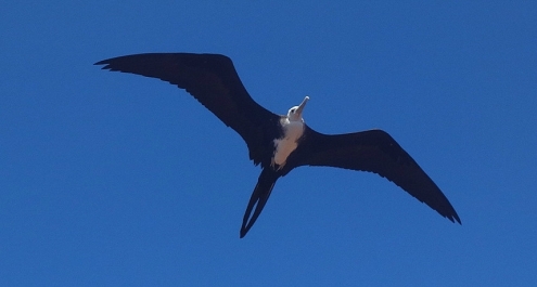 photo 946547